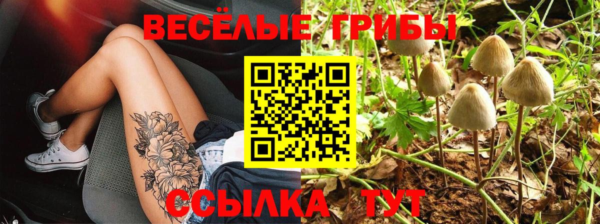 Галлюциногенные грибы Cubensis  закладки  Губкин  Вход с VPN 